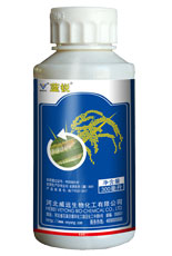 蓝锐